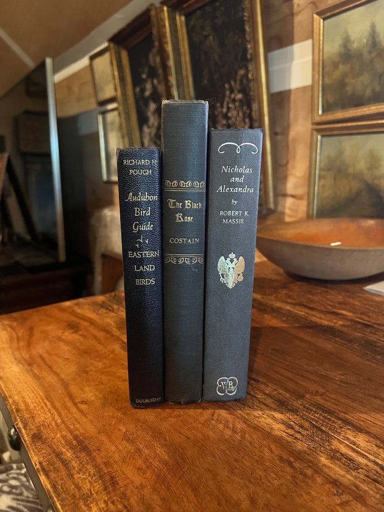 Antique and Vintage Black Books Styling Bundle