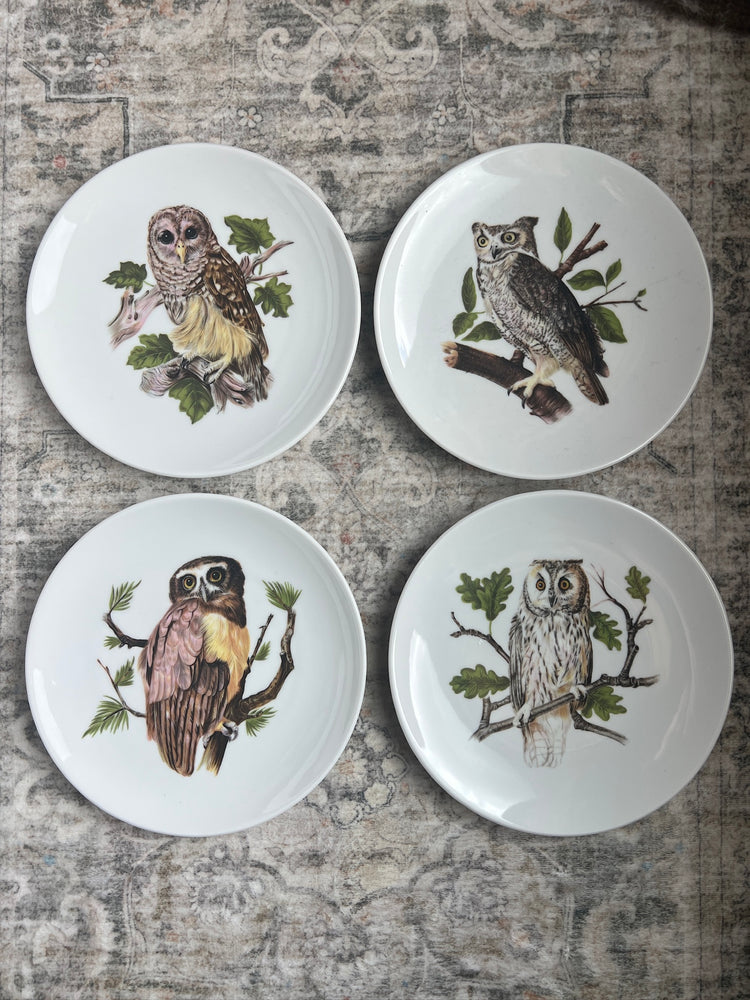 Set of 4 Vintage German Owl Plates
