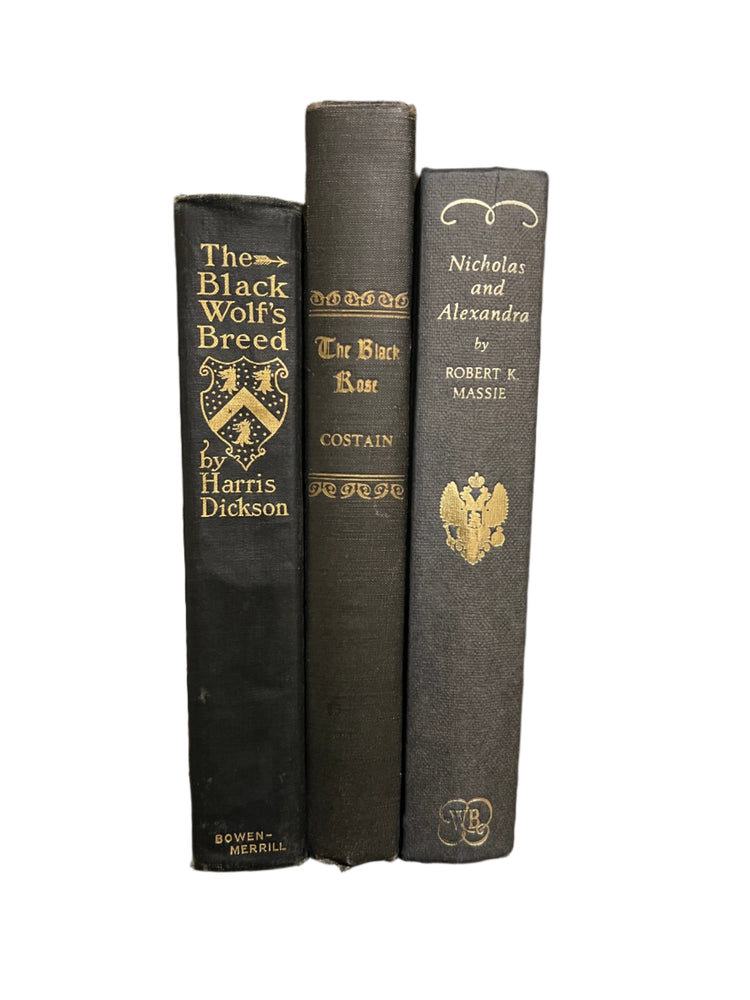 Antique and Vintage Black Books Styling Bundle