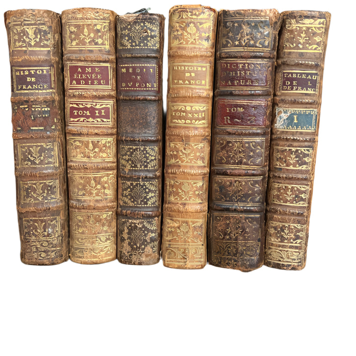 One Antique French Leather Book, 1700's