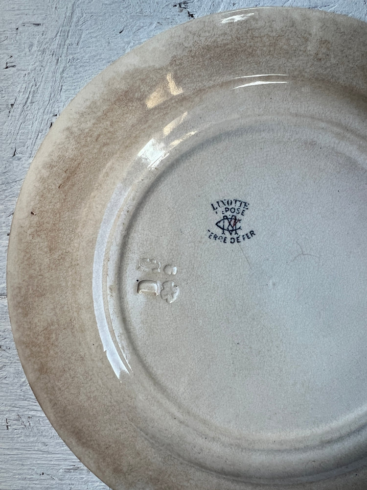 Antique French Ironstone Terre De Fer LINOTTE Plate