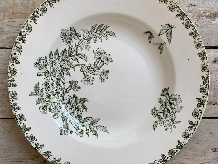 Antique French Green Butterfly Transferware Plate