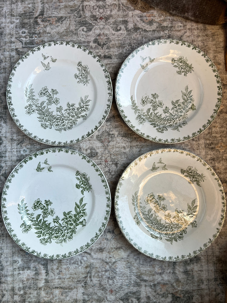 Set of 4 Antique French Green Butterfly Plates