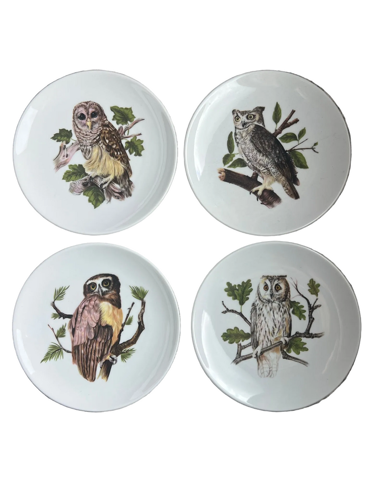 Set of 4 Vintage German Owl Plates