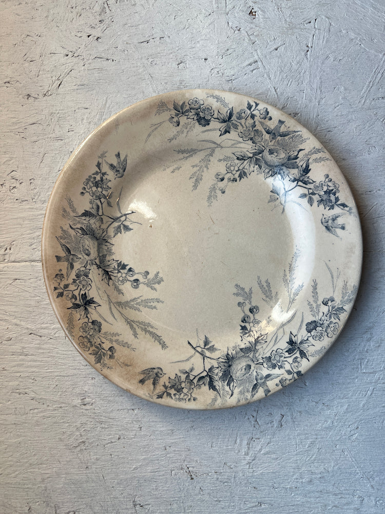 Antique French Ironstone Terre De Fer LINOTTE Plate