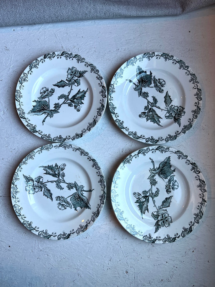 Antique French Ironstone Green Richelieu Terre De Fer Transferware Plate