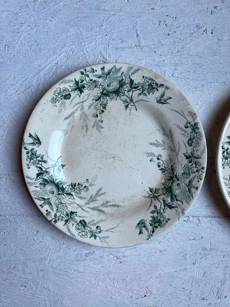 Criel Monterau Antique French Ironstone Terre De Fer LINOTTE Plate, Rare Green