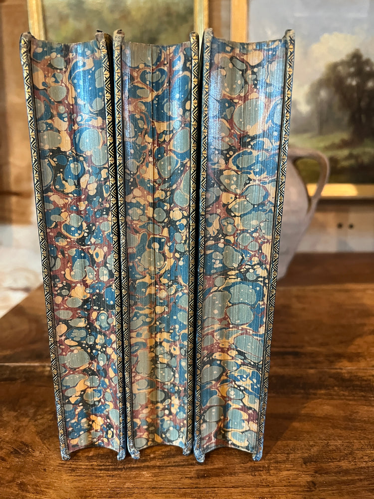 Set of 9 Antique Full Leather Blue / Green Waverley Novels Books
