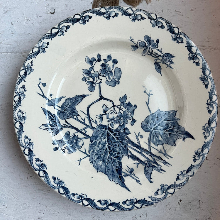 A round ceramic plate with a blue floral and botanical print on an off-white background, featuring a decorative blue border, photographed from above on a textured white surface.