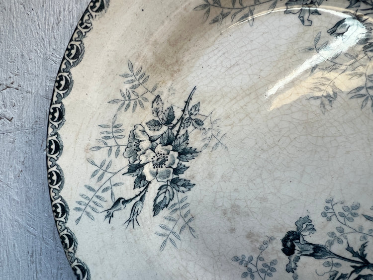 Blue Antique French Ironstone Terre De Fer Choisy le Roi "Roscoff" Plate