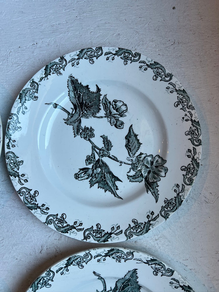 Antique French Ironstone Green Richelieu Terre De Fer Transferware Plate