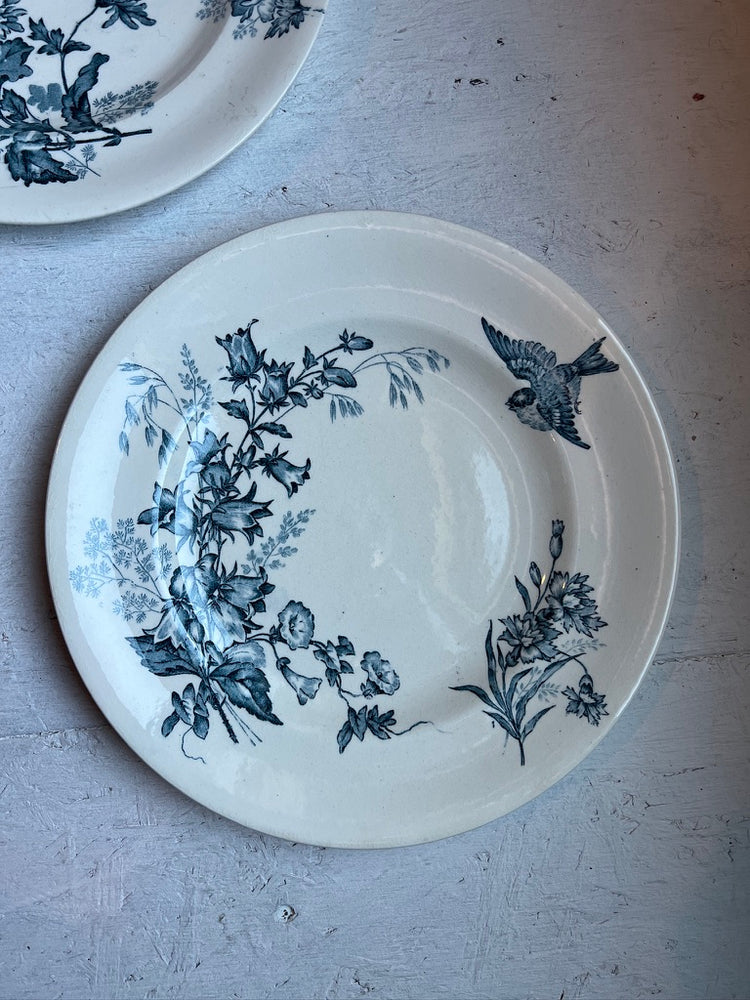French Antique Terre de Fer "Botanique" Pattern, Longwy,  Ironstone Transferware