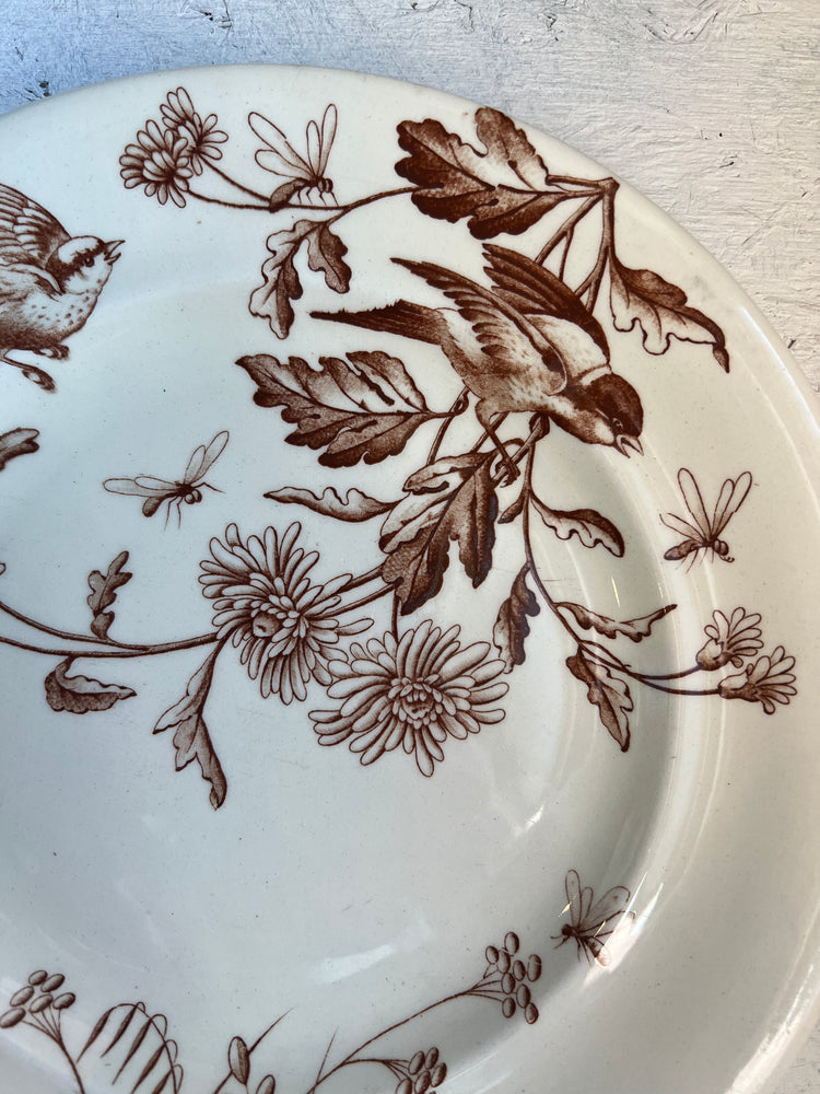 Brown Antique French Ironstone Terre de Fer Transferware Plate