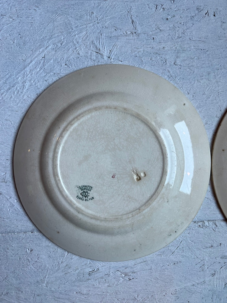 Criel Monterau Antique French Ironstone Terre De Fer LINOTTE Plate, Rare Green