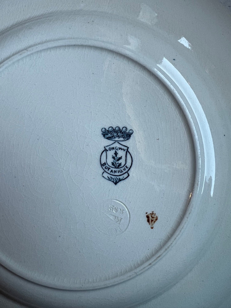 French Antique Terre de Fer "Botanique" Pattern, Longwy,  Ironstone Transferware
