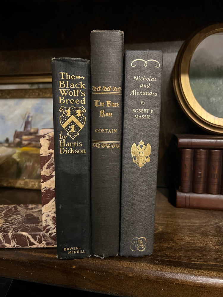 Antique and Vintage Black Books Styling Bundle