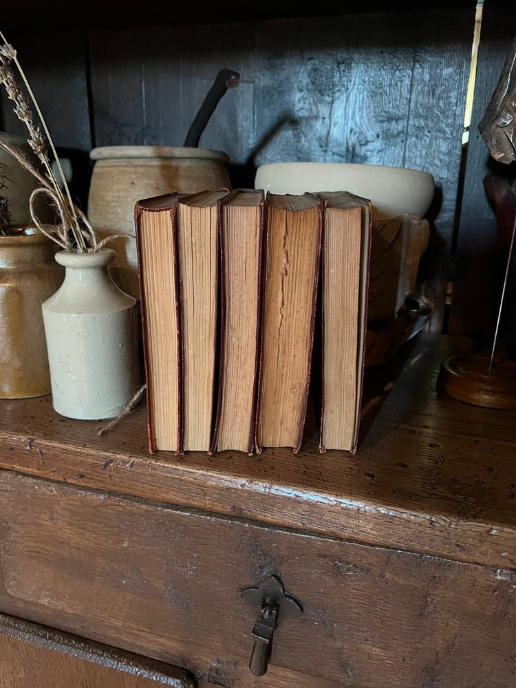 Set of 5 Antique Maroon Leather Collins Books