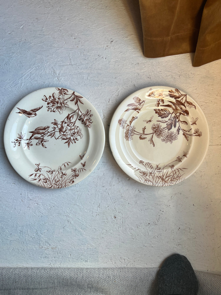 Brown Antique French Ironstone Terre de Fer Transferware Plate