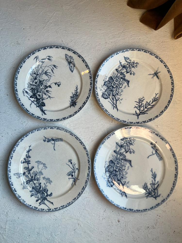 Blue Antique French Ironstone Terre de Fer Transferware Plate "CARMEN" Pattern