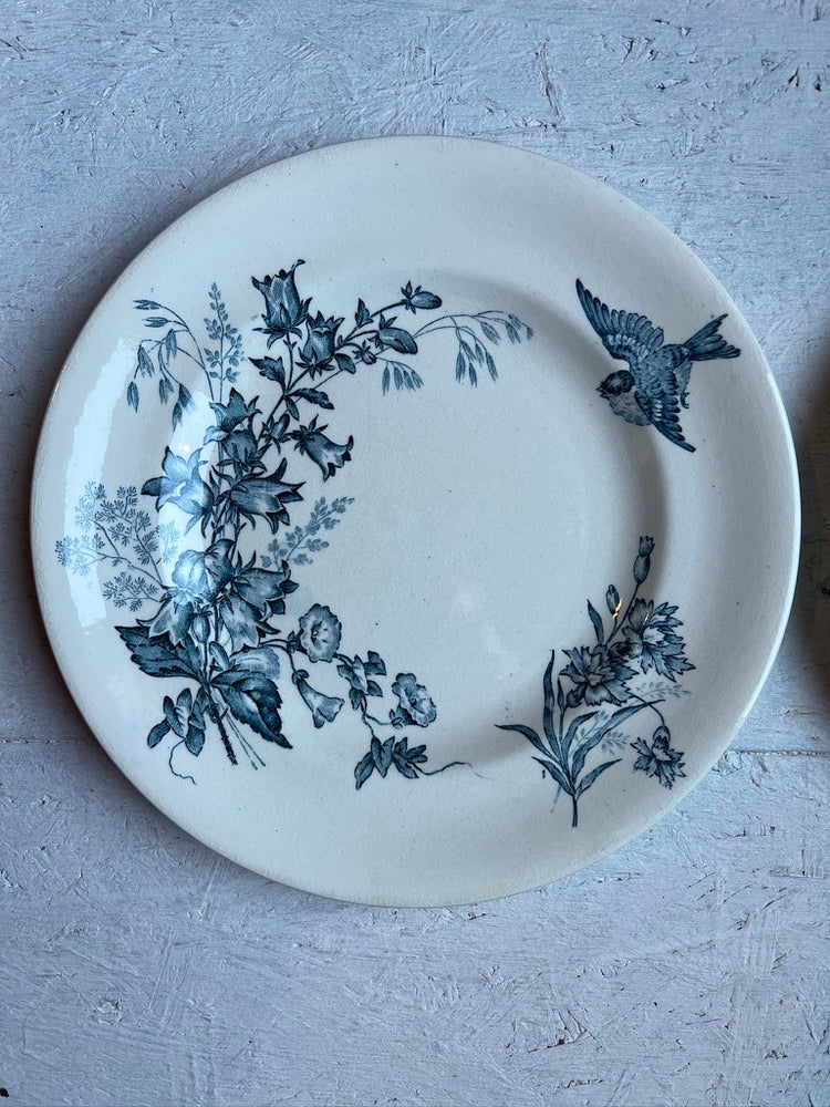 French Antique Terre de Fer "Botanique" Pattern, Longwy,  Ironstone Transferware