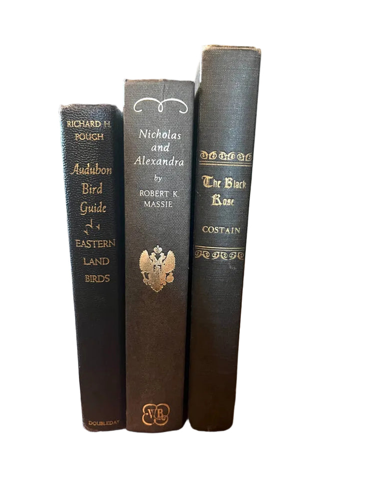 Antique and Vintage Black Books Styling Bundle