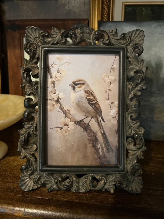 Framed Vintage Style Bird Print in Ornate Dark Moody Frame