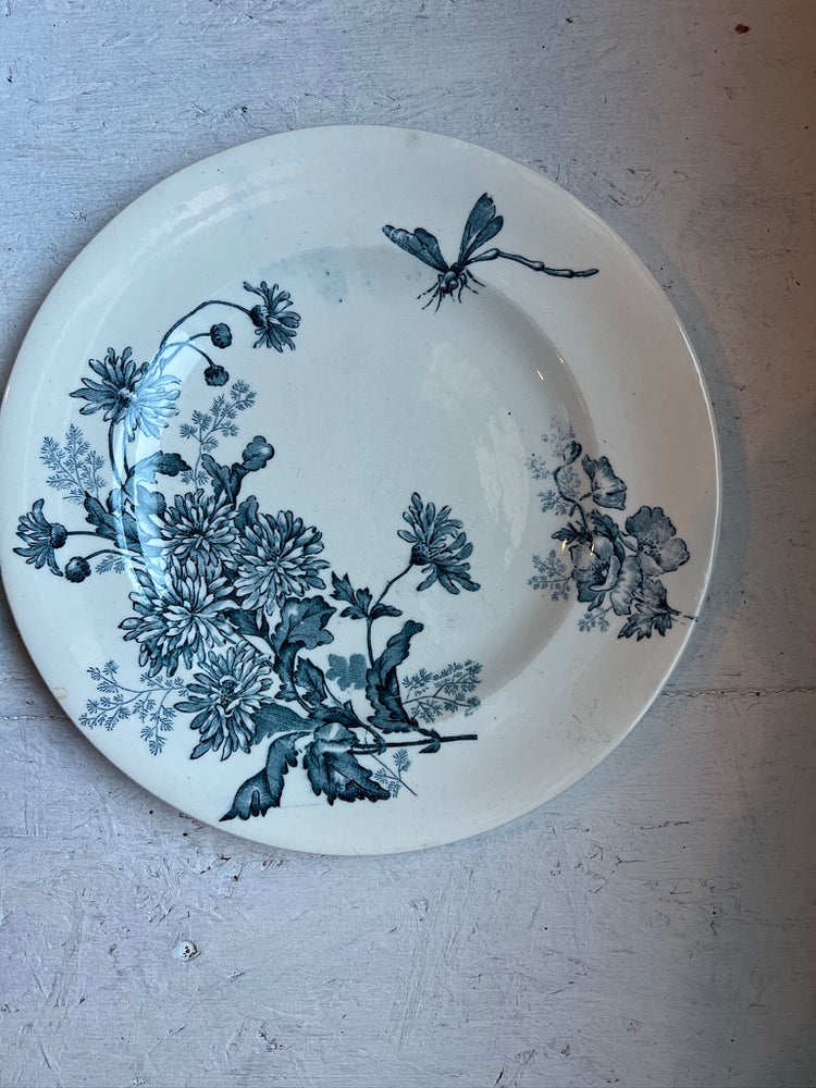French Antique Terre de Fer "Botanique" Pattern, Longwy,  Ironstone Transferware