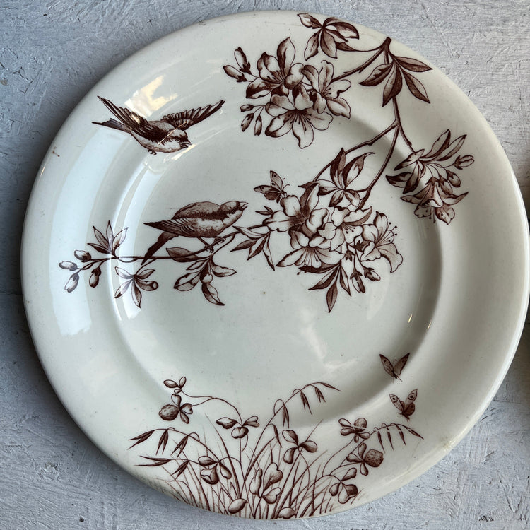 Brown Antique French Ironstone Terre de Fer Transferware Plate