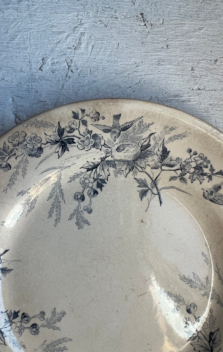Antique French Ironstone Terre De Fer LINOTTE Plate