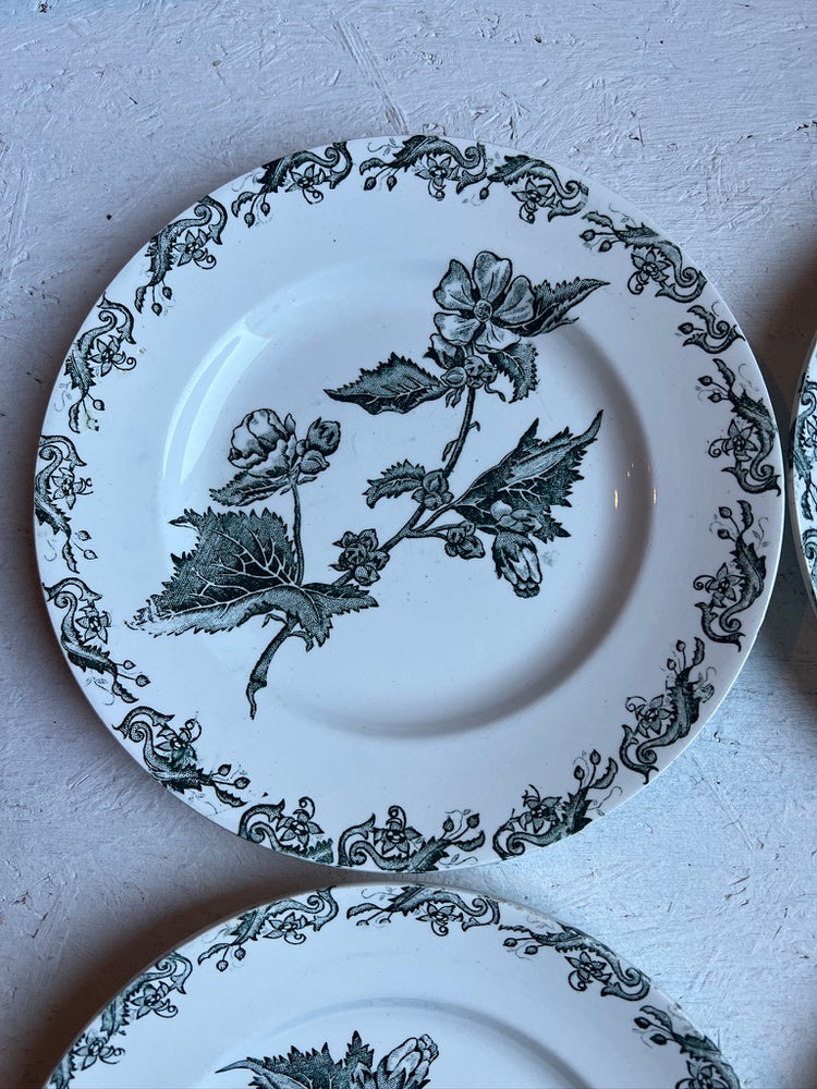 Antique French Ironstone Green Richelieu Terre De Fer Transferware Plate