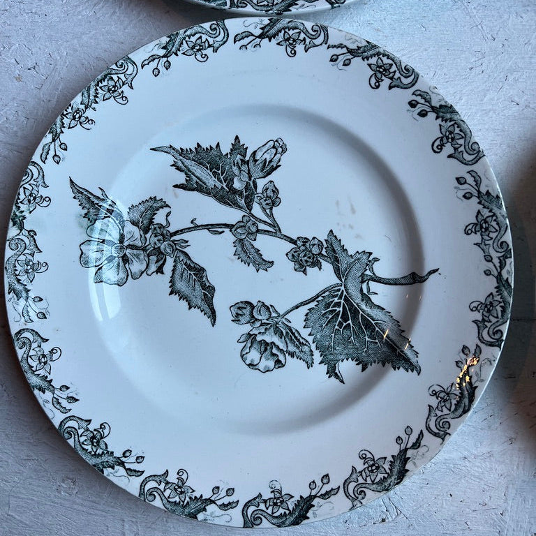 A white ceramic plate with a black botanical leaf pattern and ornate border, shown on a textured light gray surface with another plate partially visible at the top.