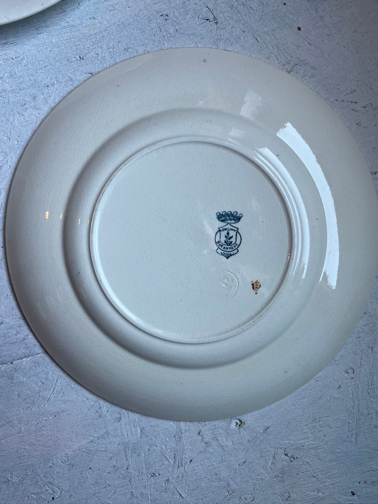 French Antique Terre de Fer "Botanique" Pattern, Longwy,  Ironstone Transferware