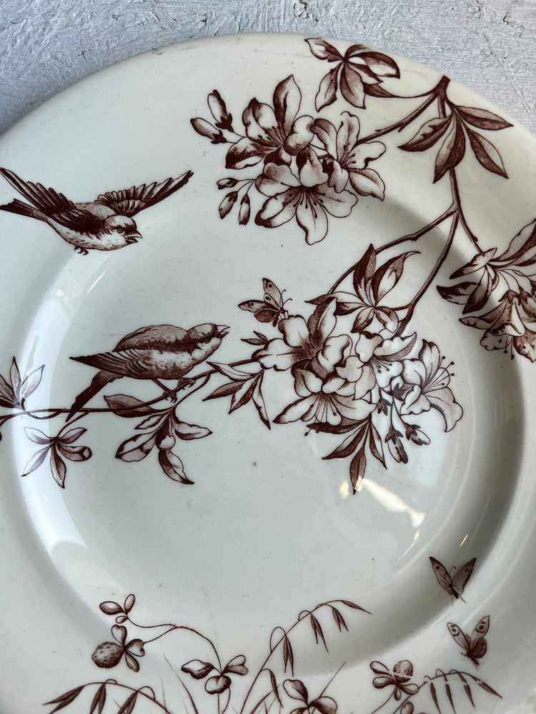 Brown Antique French Ironstone Terre de Fer Transferware Plate