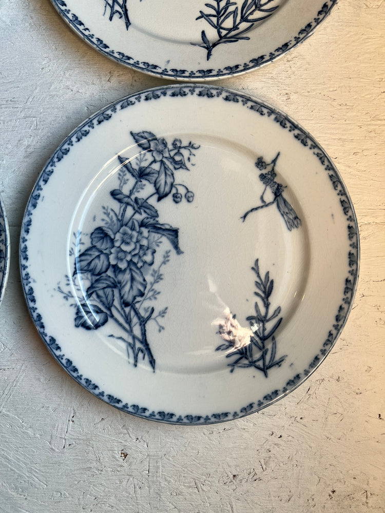 Blue Antique French Ironstone Terre de Fer Transferware Plate "CARMEN" Pattern