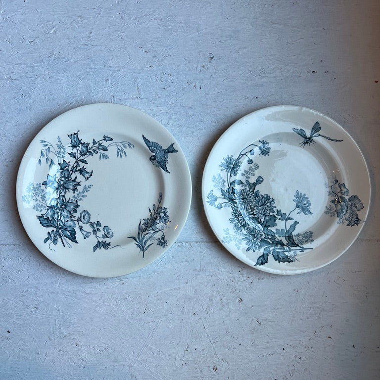 Two white ceramic plates with blue floral and bird patterns, displayed side-by-side on a textured light gray surface.