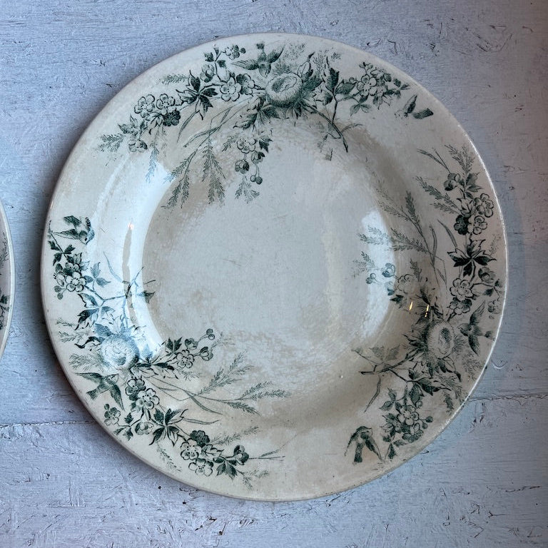 A round ceramic plate with a vintage floral toile pattern in dark green on an off-white background, displayed on a textured light gray surface.