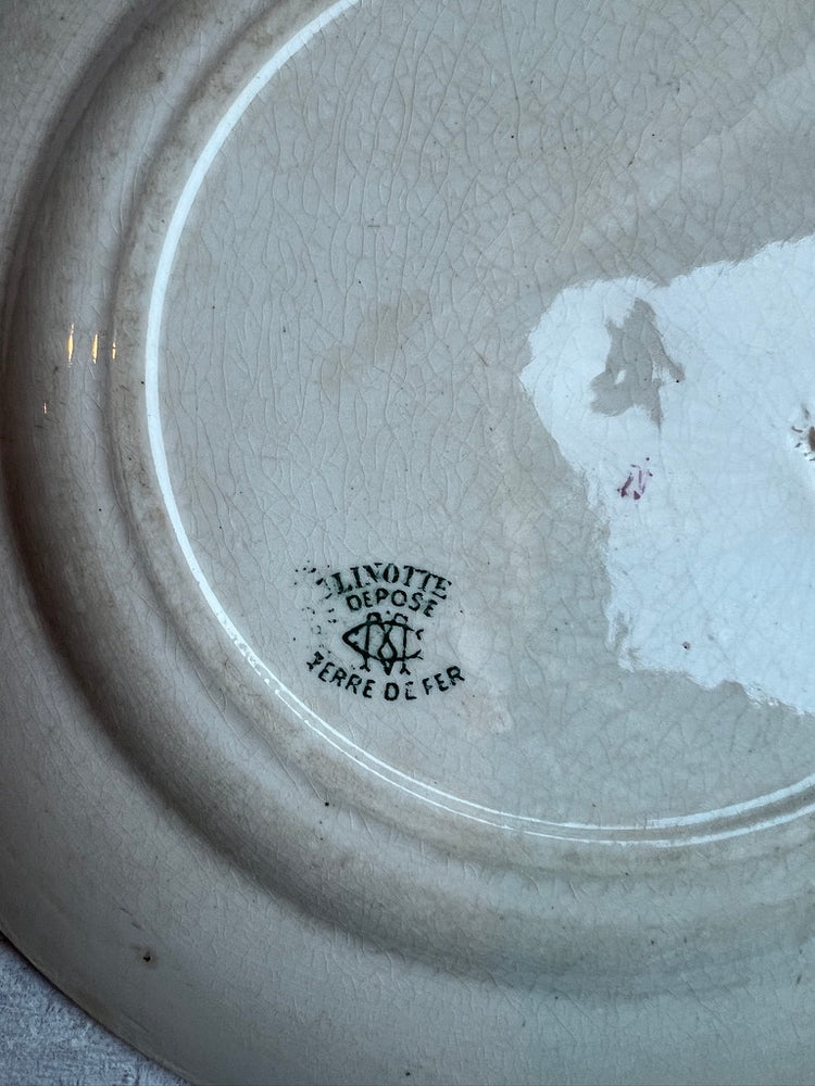 Criel Monterau Antique French Ironstone Terre De Fer LINOTTE Plate, Rare Green