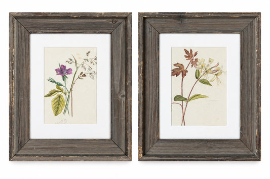 Set of 2 Antique Framed Floral Watercolor Paintings - England 1800's