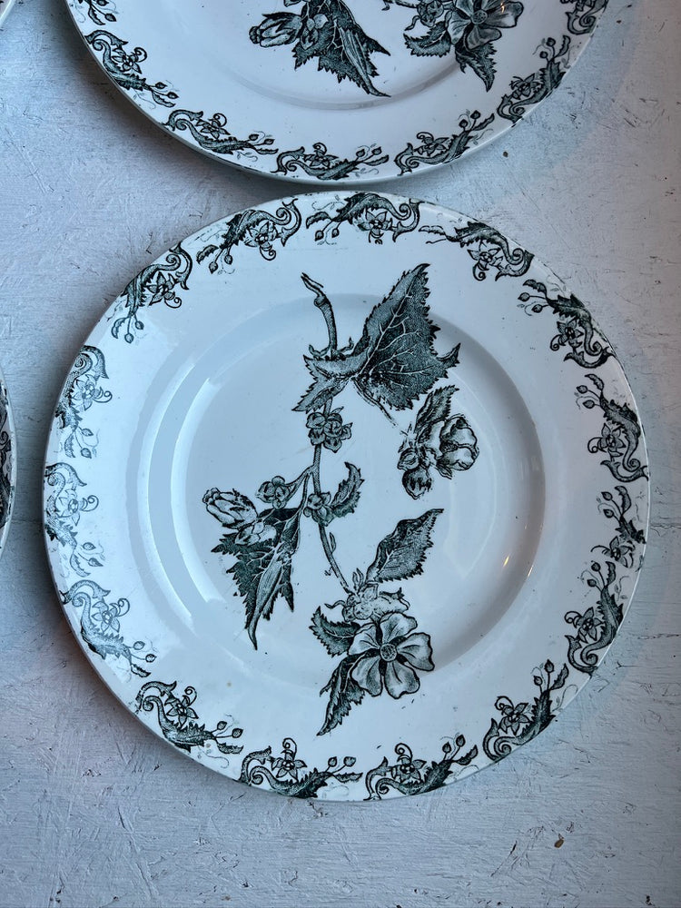 Antique French Ironstone Green Richelieu Terre De Fer Transferware Plate