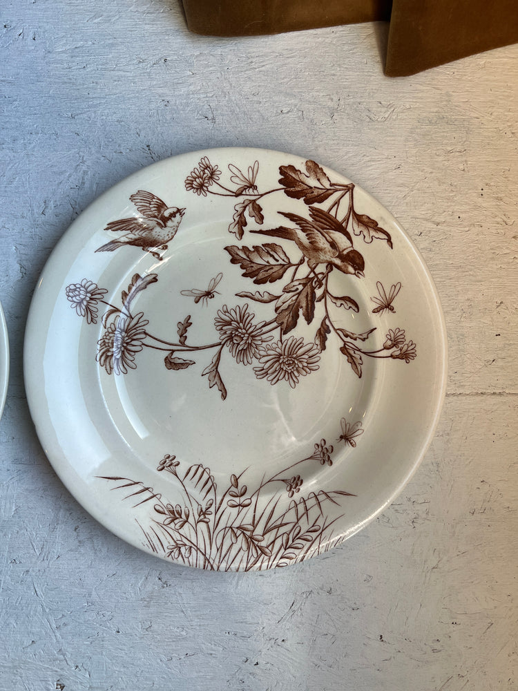 Brown Antique French Ironstone Terre de Fer Transferware Plate