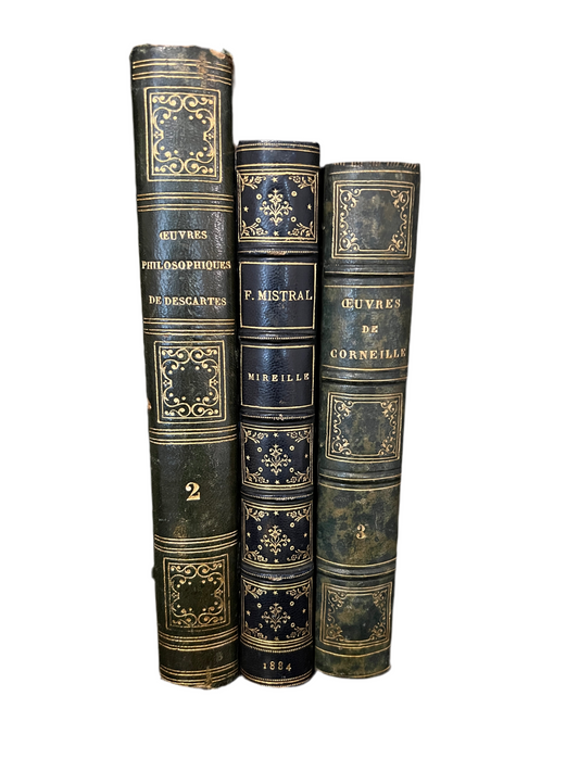 Mid 1800’s Antique French Books