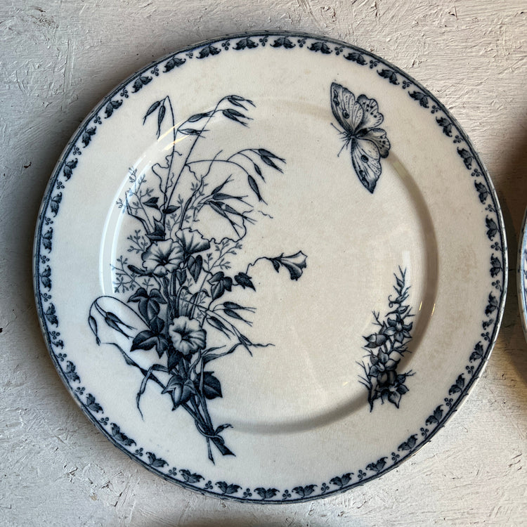 Blue Antique French Ironstone Terre de Fer Transferware Plate "CARMEN" Pattern
