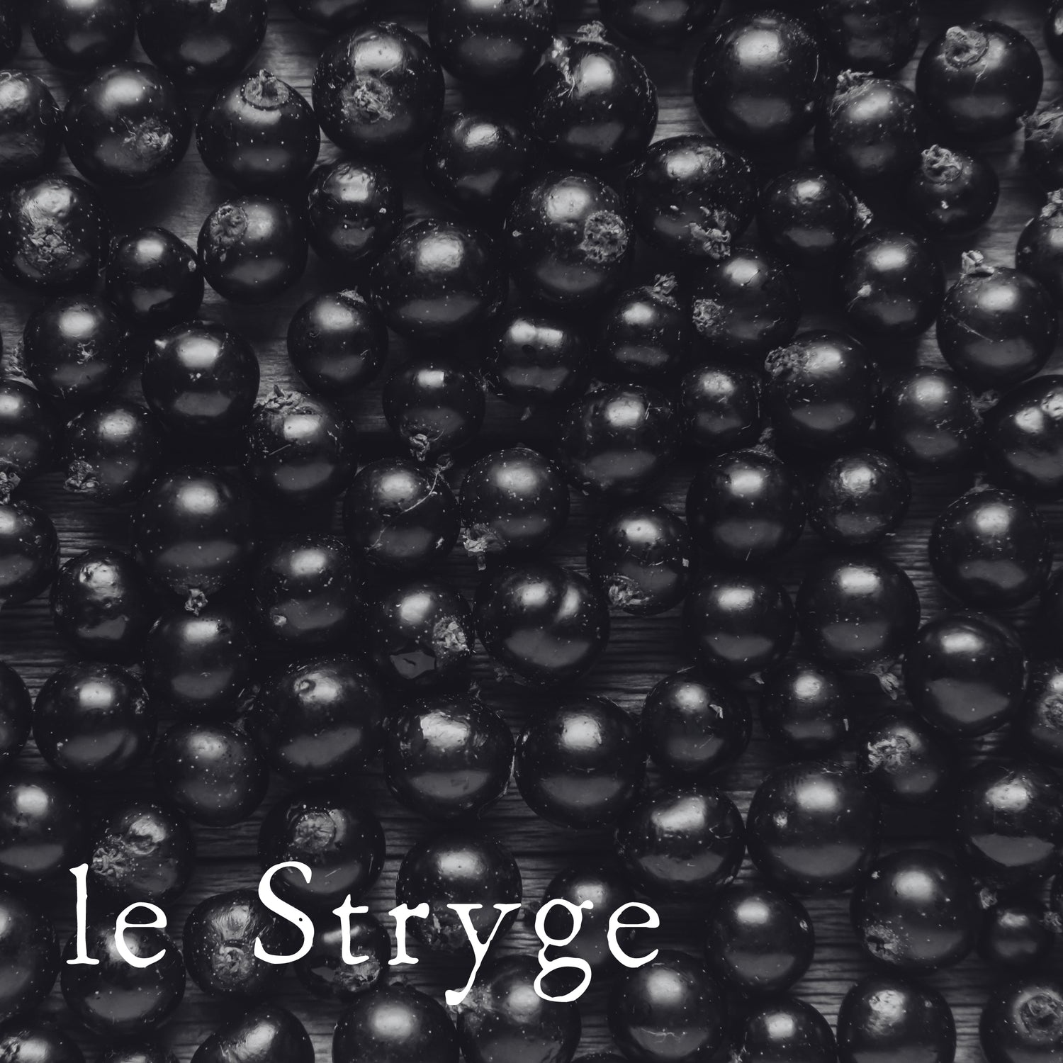 Le Stryge Black Currant Candle |  Home Fragrances and Decor